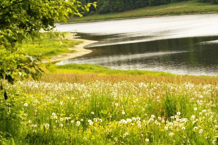 Eixendorfer Stausee