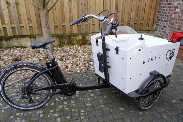 E-Bike für Kind und Hund