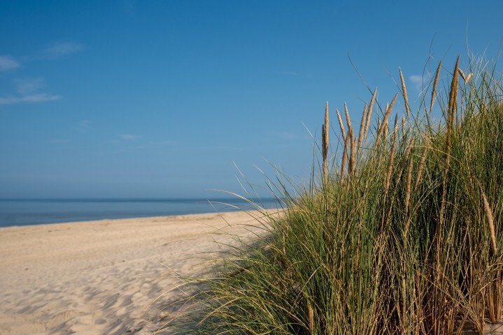 Meer Schoorl