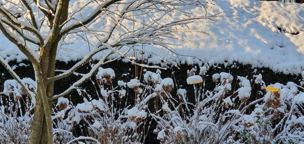 Zauberhafte Winterstimmung