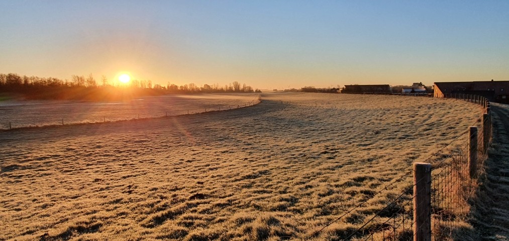 ....am weitläufigen Strand