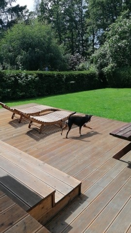 viel Platz auf Terrasse und Garten für Mensch und Hund