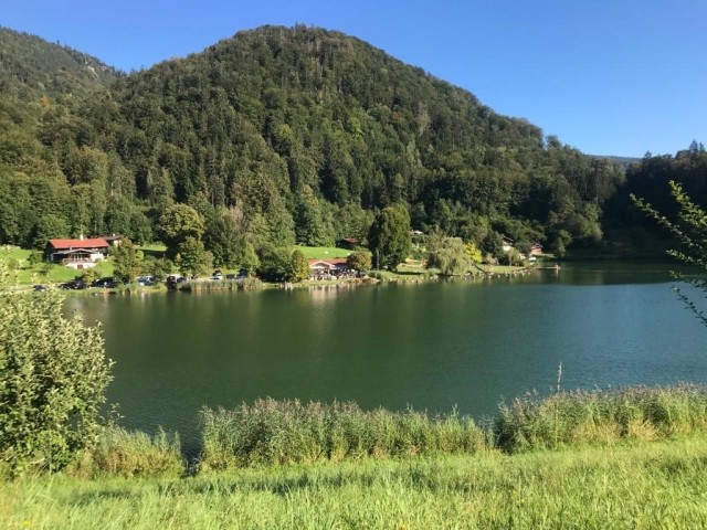 Wössnersee- Hundeschwimmbad 