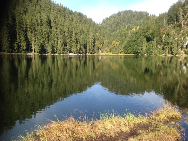 Taubensee