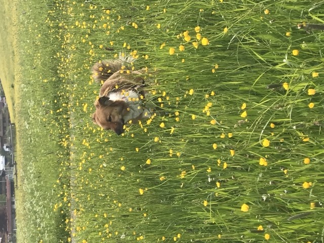 Frühling in Reit 