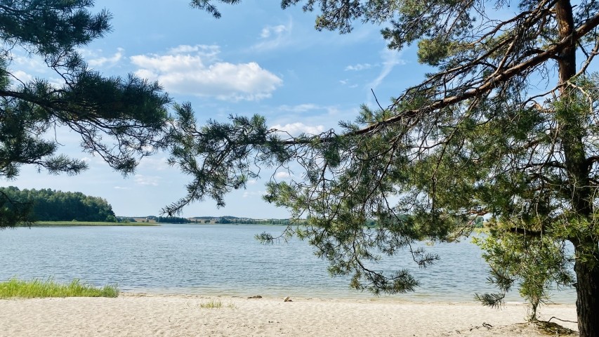 Wilder Strand 