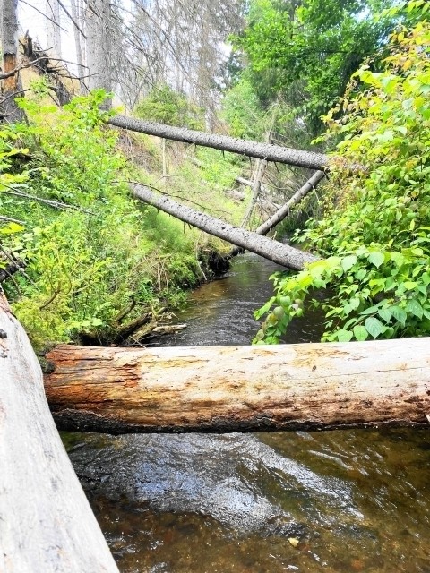 Kanufahrt 