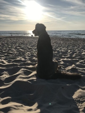 Strand Bakenberg (10 Min/Auto)