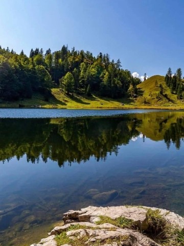 Taubensee 