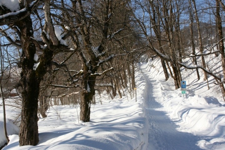 Winter  :-)