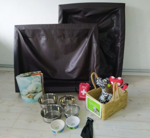 Hundeausstattung