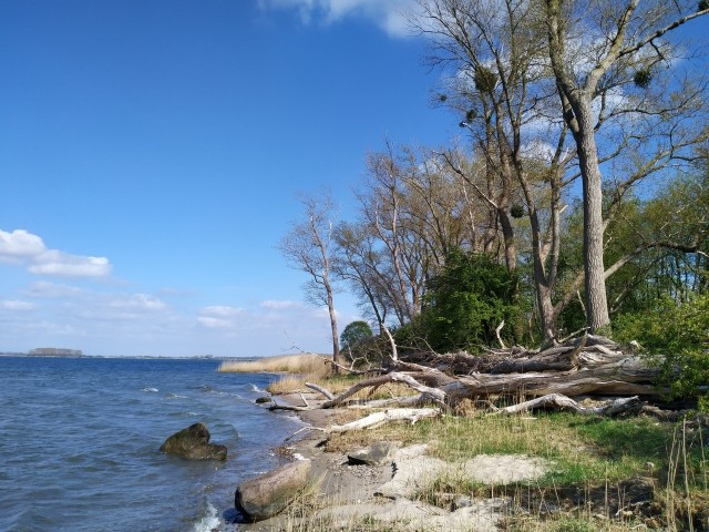 Naturstrand
