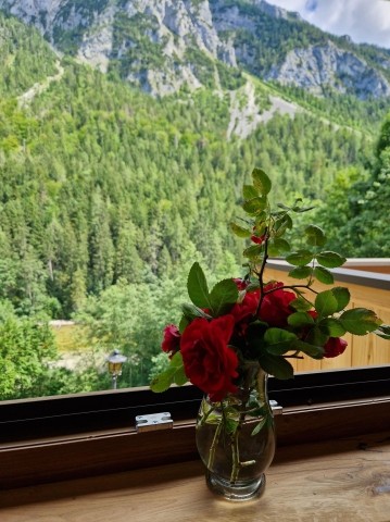 Aussicht vom Schlafzimmer
