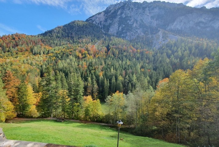 Aussicht auf Berg und See vom Balkon