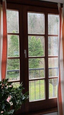 Blick vom Esszimmer 