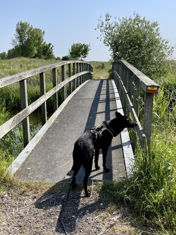 Umland Bonte Hoeve