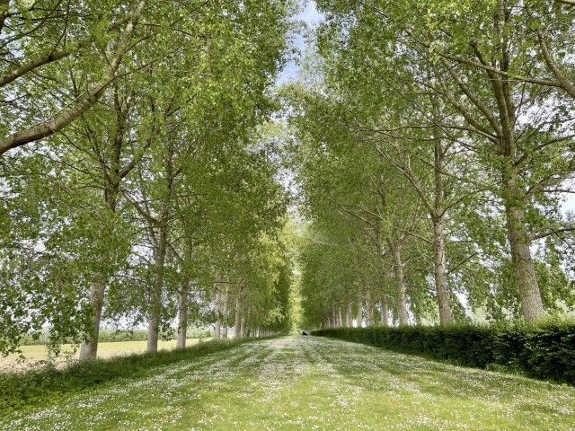 Umland Bonte Hoeve