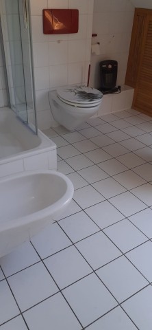 Bad mit Dusche, WC und Bidet