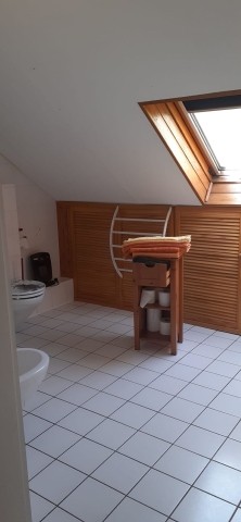Bad mit Dusche, WC und Bidet