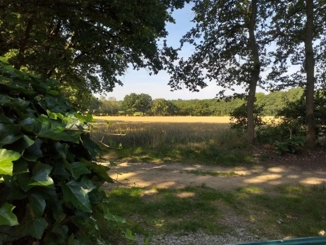 Ein Sommermorgen