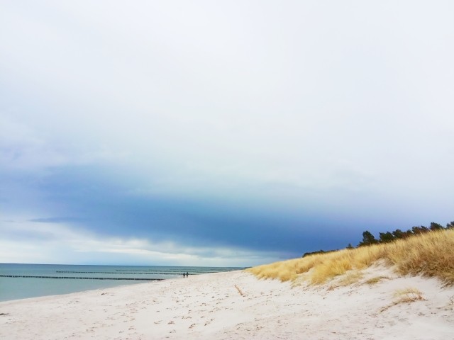 Hundestrand