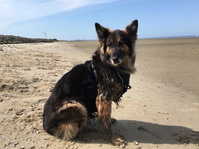 Strand Otterndorf