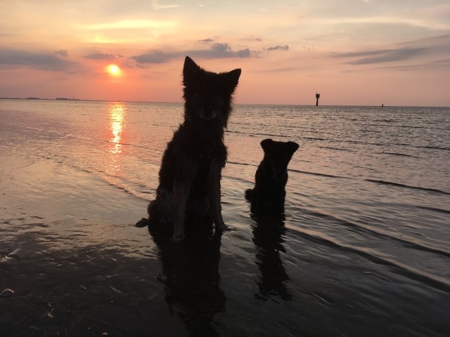 Otterndorf Strand 