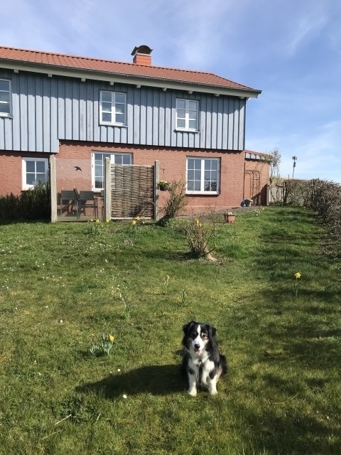 Auch Ihr Hund ist herzlich willkommen!