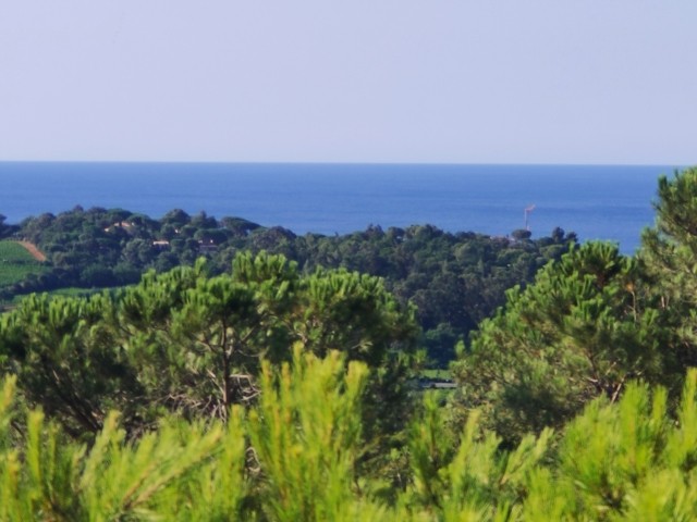 Blick aufs Meer 