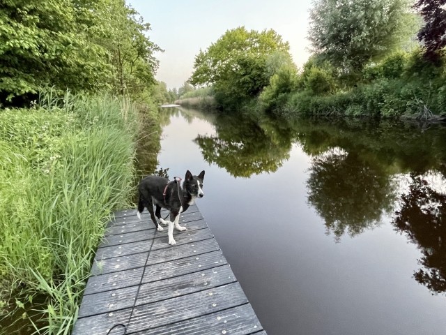 Umland Bonte Hoeve