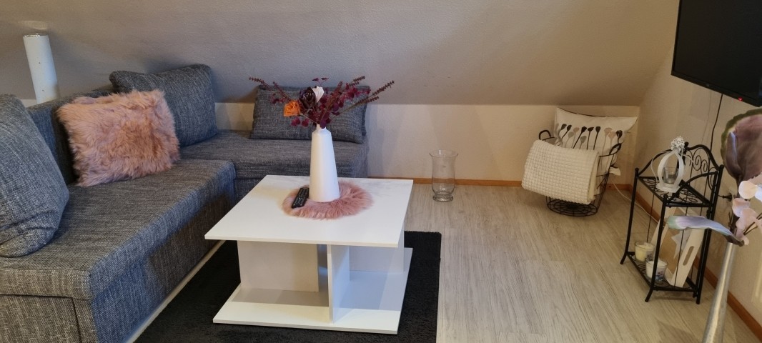 Couch ( zusätzlicher Schlafplatz für 2 Gäste )