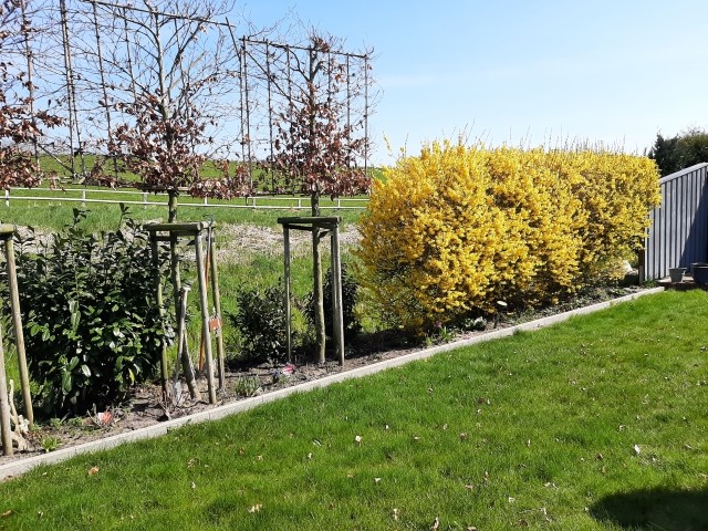 Frühling 2023
