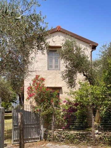 Front-Hausansicht 