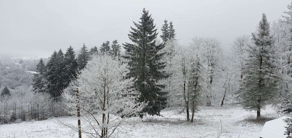wahnsinns Ausblick