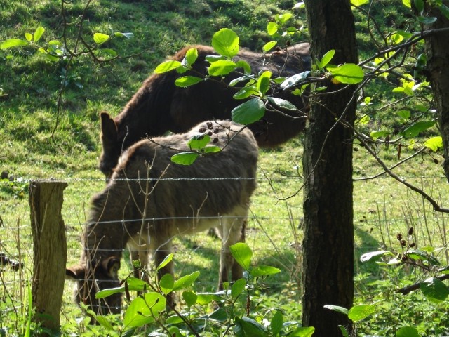 Westküstenpark