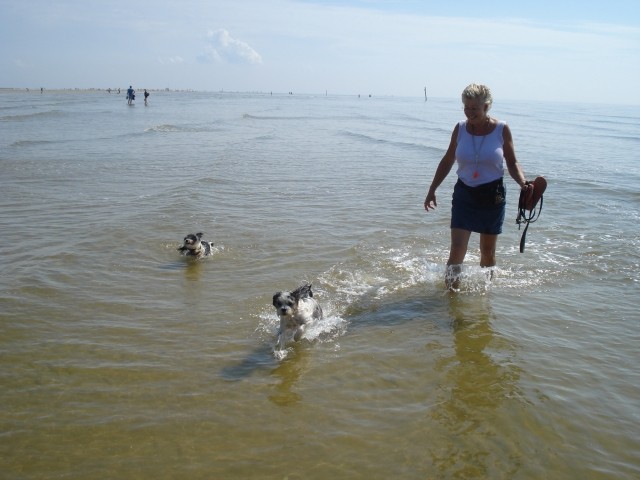 Hundefreuden