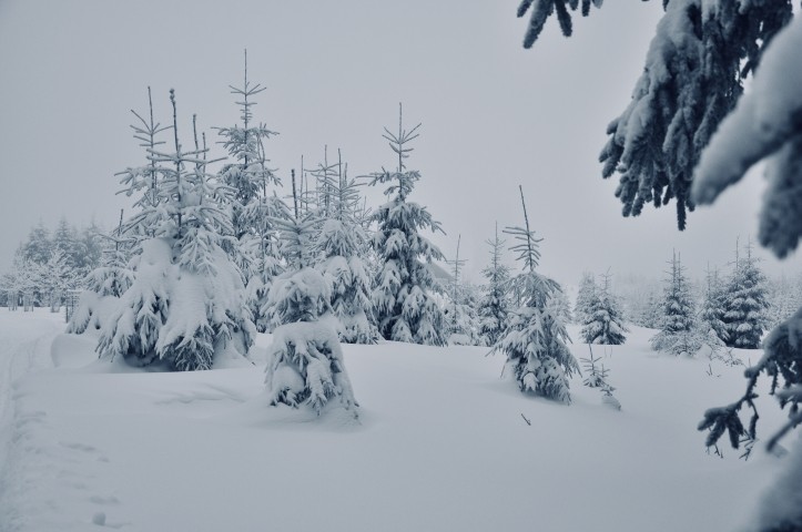 Winter in Gehlberg