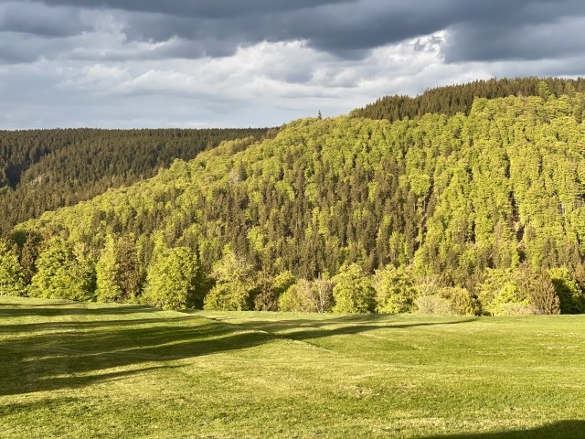 Sommer in Gehlberg