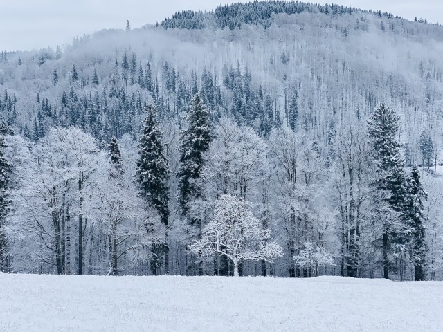 Winter in Gehlberg