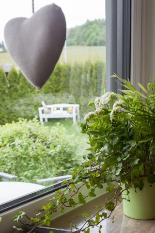 Terrasse/Garten