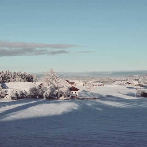Im Winterwonderland