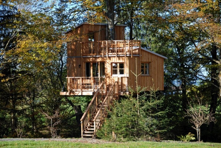 Das Baumhaus ist eingebettet in einen Buchenwald