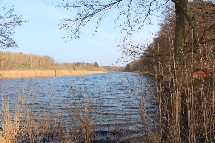 "Alter Strom" zwischen dem Deich und dem Strand