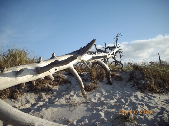 Weststrand