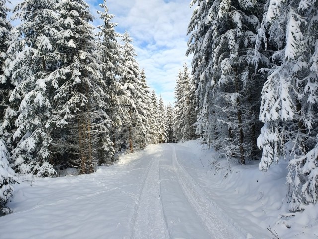 Wintereindruck
