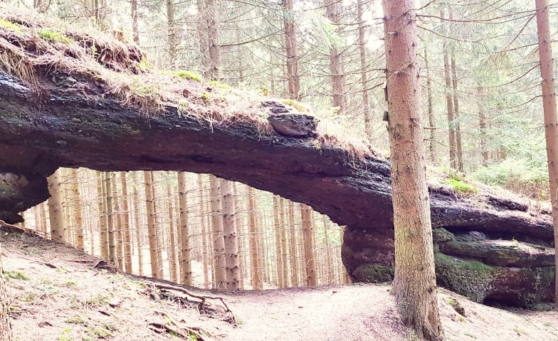 steinerne Tor 