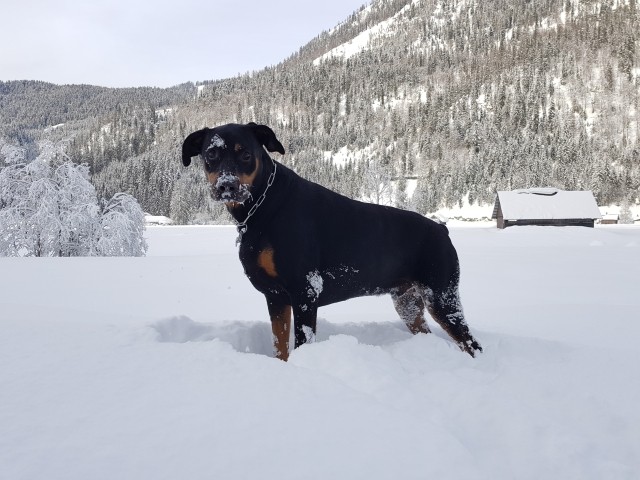 Winterspaß!