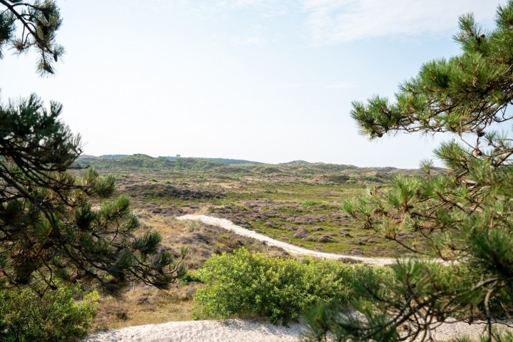 Schoorler Dünen