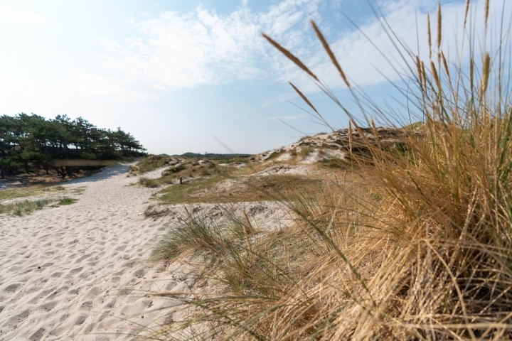 Schoorler Dünen