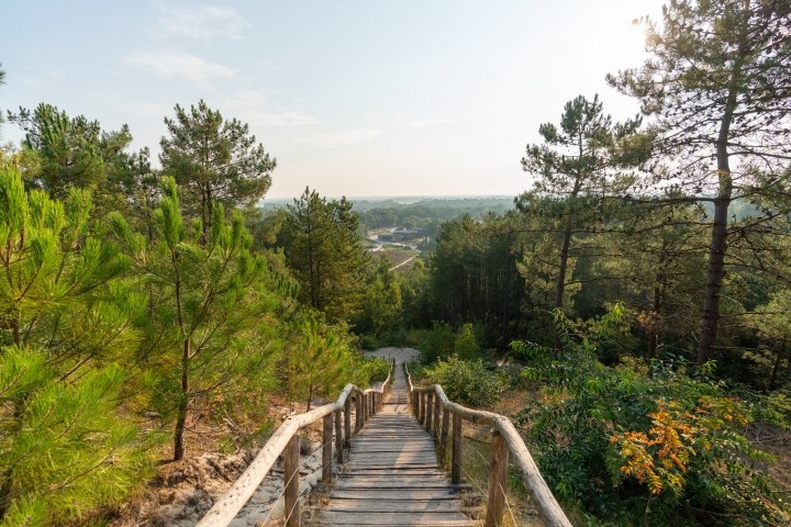 Wandern in Schoorler Dünen
